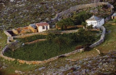 Φιλοκαλικές Σελίδες - Τά ἅγια ἐρημονήσια